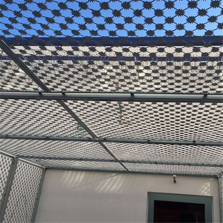 梅花刺隔離網案例展示圖片3