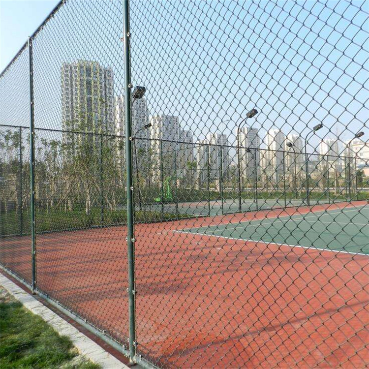 球場圍網案例展示圖片2 球場圍網案例展示圖片2