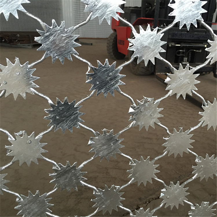 梅花剌鋼網墻案例展示圖片2 梅花剌鋼網墻案例展示圖片2