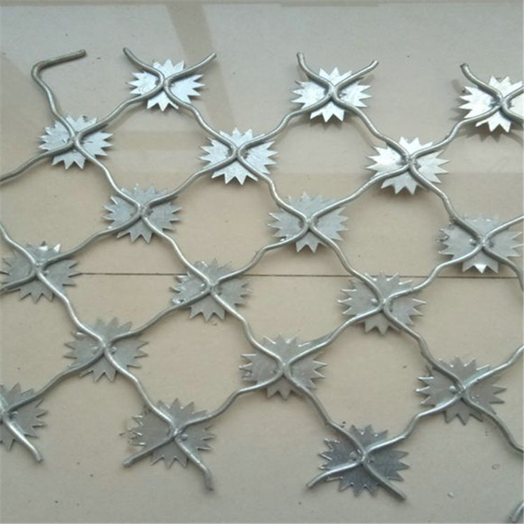 梅花刺隔離網案例展示圖片3 梅花刺隔離網案例展示圖片3